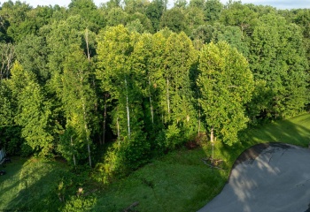 245 Coventry Drive, Bridgeport, West Virginia 26330, 0 , 0 ,0,Lots/land,For Sale,Coventry,0,10166481