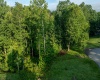 245 Coventry Drive, Bridgeport, West Virginia 26330, 0 , 0 ,0,Lots/land,For Sale,Coventry,0,10166481