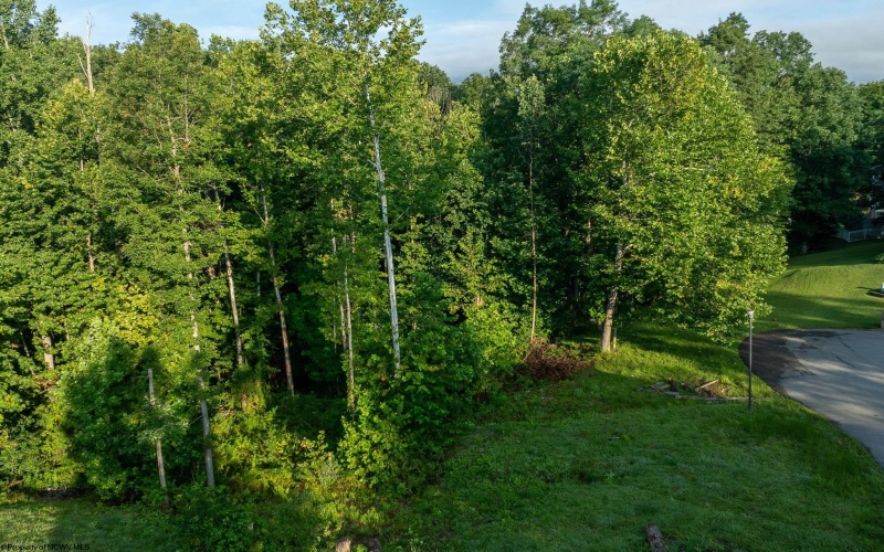 245 Coventry Drive, Bridgeport, West Virginia 26330, 0 , 0 ,0,Lots/land,For Sale,Coventry,0,10166481