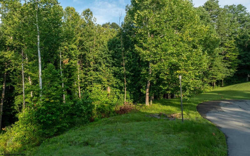 247 Coventry Drive, Bridgeport, West Virginia 26330, 0 , 0 ,0,Lots/land,For Sale,Coventry,0,10166480