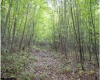 TBD Yellow House Lane, Elkins, West Virginia 26241, 0 , 0 ,0,Lots/land,For Sale,Yellow House,0,10166479
