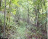 TBD Yellow House Lane, Elkins, West Virginia 26241, 0 , 0 ,0,Lots/land,For Sale,Yellow House,0,10166479