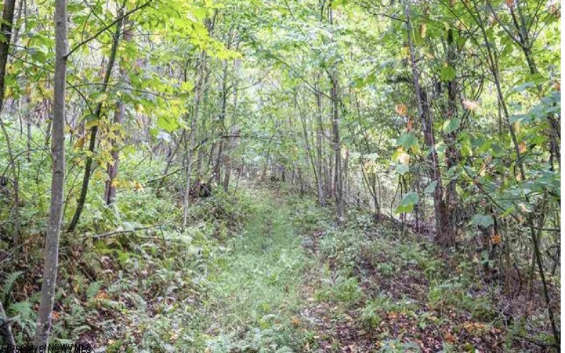 TBD Yellow House Lane, Elkins, West Virginia 26241, 0 , 0 ,0,Lots/land,For Sale,Yellow House,0,10166479