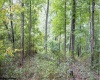 TBD Yellow House Lane, Elkins, West Virginia 26241, 0 , 0 ,0,Lots/land,For Sale,Yellow House,0,10166479