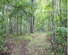 TBD Yellow House Lane, Elkins, West Virginia 26241, 0 , 0 ,0,Lots/land,For Sale,Yellow House,0,10166479