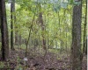 TBD Yellow House Lane, Elkins, West Virginia 26241, 0 , 0 ,0,Lots/land,For Sale,Yellow House,0,10166479