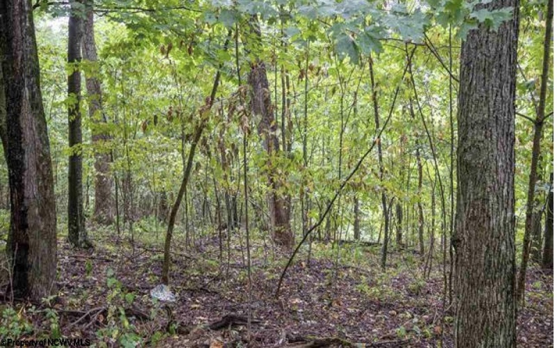TBD Yellow House Lane, Elkins, West Virginia 26241, 0 , 0 ,0,Lots/land,For Sale,Yellow House,0,10166479