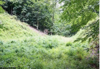 TBD Yellow House Lane, Elkins, West Virginia 26241, 0 , 0 ,0,Lots/land,For Sale,Yellow House,0,10166479