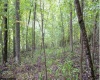 TBD Yellow House Lane, Elkins, West Virginia 26241, 0 , 0 ,0,Lots/land,For Sale,Yellow House,0,10166479