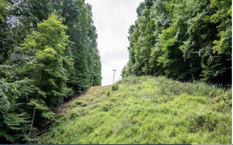 TBD Yellow House Lane, Elkins, West Virginia 26241, 0 , 0 ,0,Lots/land,For Sale,Yellow House,0,10166479