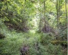 TBD Yellow House Lane, Elkins, West Virginia 26241, 0 , 0 ,0,Lots/land,For Sale,Yellow House,0,10166479