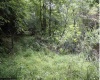 TBD Yellow House Lane, Elkins, West Virginia 26241, 0 , 0 ,0,Lots/land,For Sale,Yellow House,0,10166479