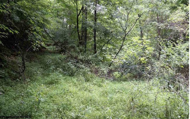 TBD Yellow House Lane, Elkins, West Virginia 26241, 0 , 0 ,0,Lots/land,For Sale,Yellow House,0,10166479