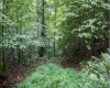 TBD Yellow House Lane, Elkins, West Virginia 26241, 0 , 0 ,0,Lots/land,For Sale,Yellow House,0,10166479