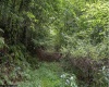 TBD Yellow House Lane, Elkins, West Virginia 26241, 0 , 0 ,0,Lots/land,For Sale,Yellow House,0,10166479