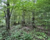 TBD Big Bend Drive, Kingwood, West Virginia 26537, 0 , 0 ,0,Lots/land,For Sale,Big Bend,0,10166477