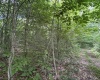 TBD Big Bend Drive, Kingwood, West Virginia 26537, 0 , 0 ,0,Lots/land,For Sale,Big Bend,0,10166477