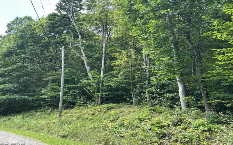 TBD Big Bend Drive, Kingwood, West Virginia 26537, 0 , 0 ,0,Lots/land,For Sale,Big Bend,0,10166477