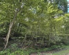 TBD Big Bend Drive, Kingwood, West Virginia 26537, 0 , 0 ,0,Lots/land,For Sale,Big Bend,0,10166477