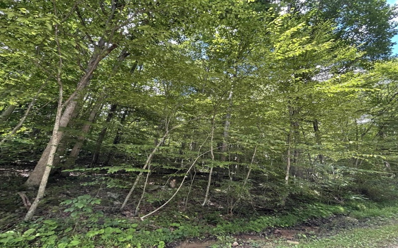 TBD Big Bend Drive, Kingwood, West Virginia 26537, 0 , 0 ,0,Lots/land,For Sale,Big Bend,0,10166477