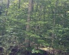TBD Big Bend Drive, Kingwood, West Virginia 26537, 0 , 0 ,0,Lots/land,For Sale,Big Bend,0,10166477