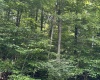 TBD Big Bend Drive, Kingwood, West Virginia 26537, 0 , 0 ,0,Lots/land,For Sale,Big Bend,0,10166477