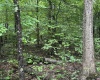 TBD Big Bend Drive, Kingwood, West Virginia 26537, 0 , 0 ,0,Lots/land,For Sale,Big Bend,0,10166477