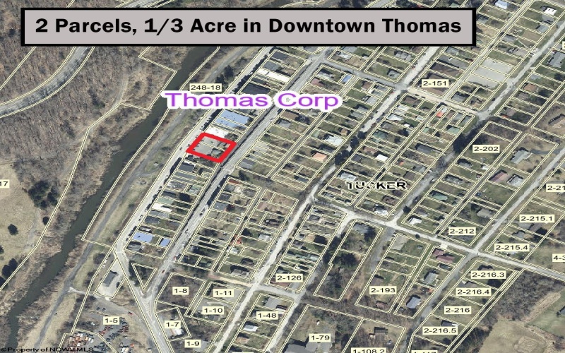 Lot 1 & 2 East Avenue, Thomas, West Virginia 26292, 0 , 0 ,0,Lots/land,For Sale,East,0,10166487