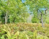 Lot 9 Chickadee Drive, Davis, West Virginia 26260-0000, 0 , 0 ,0,Lots/land,For Sale,Chickadee,0,10166498