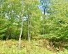 Lot 9 Chickadee Drive, Davis, West Virginia 26260-0000, 0 , 0 ,0,Lots/land,For Sale,Chickadee,0,10166498