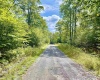 Lot 9 Chickadee Drive, Davis, West Virginia 26260-0000, 0 , 0 ,0,Lots/land,For Sale,Chickadee,0,10166498