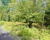 Lot 9 Chickadee Drive, Davis, West Virginia 26260-0000, 0 , 0 ,0,Lots/land,For Sale,Chickadee,0,10166498