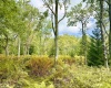 Lot 9 Chickadee Drive, Davis, West Virginia 26260-0000, 0 , 0 ,0,Lots/land,For Sale,Chickadee,0,10166498