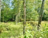 Lot 9 Chickadee Drive, Davis, West Virginia 26260-0000, 0 , 0 ,0,Lots/land,For Sale,Chickadee,0,10166498