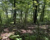 TBD Woodview Drive, Bruceton Mills, West Virginia 26525, 0 , 0 ,0,Lots/land,For Sale,Woodview,0,10166493