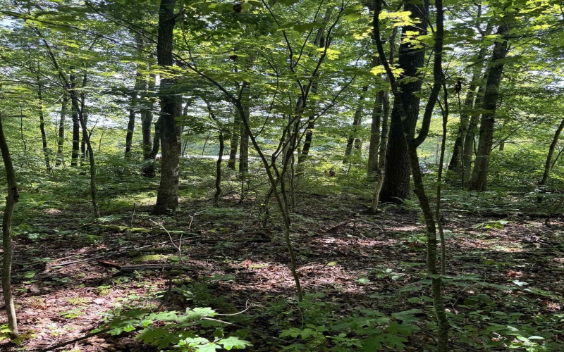 TBD Woodview Drive, Bruceton Mills, West Virginia 26525, 0 , 0 ,0,Lots/land,For Sale,Woodview,0,10166493