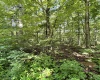 TBD Woodview Drive, Bruceton Mills, West Virginia 26525, 0 , 0 ,0,Lots/land,For Sale,Woodview,0,10166493
