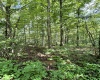 TBD Woodview Drive, Bruceton Mills, West Virginia 26525, 0 , 0 ,0,Lots/land,For Sale,Woodview,0,10166493