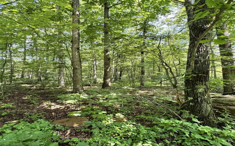 TBD Woodview Drive, Bruceton Mills, West Virginia 26525, 0 , 0 ,0,Lots/land,For Sale,Woodview,0,10166493