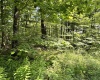 TBD Woodview Drive, Bruceton Mills, West Virginia 26525, 0 , 0 ,0,Lots/land,For Sale,Woodview,0,10166493
