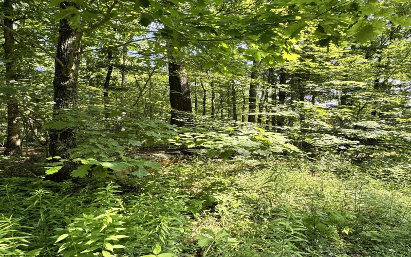 TBD Woodview Drive, Bruceton Mills, West Virginia 26525, 0 , 0 ,0,Lots/land,For Sale,Woodview,0,10166493