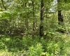 TBD Woodview Drive, Bruceton Mills, West Virginia 26525, 0 , 0 ,0,Lots/land,For Sale,Woodview,0,10166493