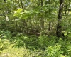 TBD Woodview Drive, Bruceton Mills, West Virginia 26525, 0 , 0 ,0,Lots/land,For Sale,Woodview,0,10166493