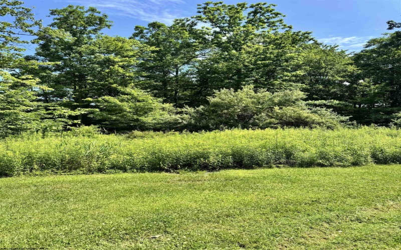 TBD Woodview Drive, Bruceton Mills, West Virginia 26525, 0 , 0 ,0,Lots/land,For Sale,Woodview,0,10166493