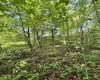 TBD Woodview Drive, Bruceton Mills, West Virginia 26525, 0 , 0 ,0,Lots/land,For Sale,Woodview,0,10166493