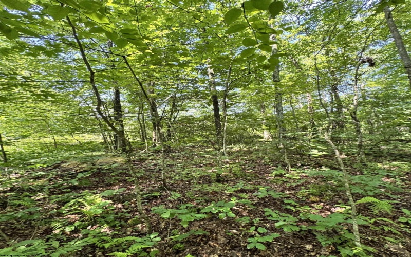 TBD Woodview Drive, Bruceton Mills, West Virginia 26525, 0 , 0 ,0,Lots/land,For Sale,Woodview,0,10166493