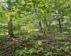 TBD Woodview Drive, Bruceton Mills, West Virginia 26525, 0 , 0 ,0,Lots/land,For Sale,Woodview,0,10166493