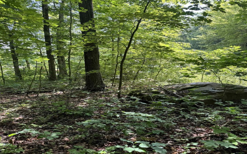 TBD Woodview Drive, Bruceton Mills, West Virginia 26525, 0 , 0 ,0,Lots/land,For Sale,Woodview,0,10166493