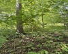 TBD Woodview Drive, Bruceton Mills, West Virginia 26525, 0 , 0 ,0,Lots/land,For Sale,Woodview,0,10166493