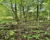 TBD Woodview Drive, Bruceton Mills, West Virginia 26525, 0 , 0 ,0,Lots/land,For Sale,Woodview,0,10166493